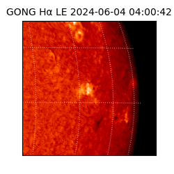 gong - 2024-06-04T04:00:42