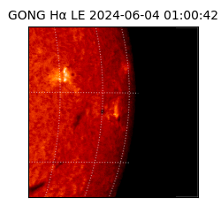 gong - 2024-06-04T01:00:42