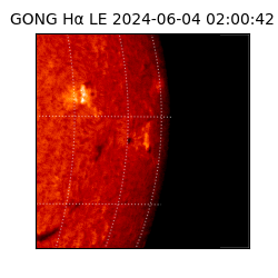 gong - 2024-06-04T02:00:42