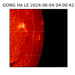 gong - 2024-06-04T04:00:42