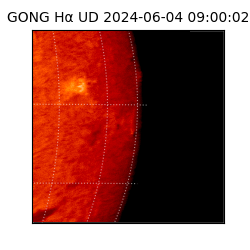 gong - 2024-06-04T09:00:02