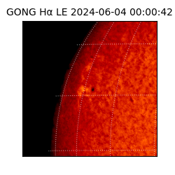 gong - 2024-06-04T00:00:42