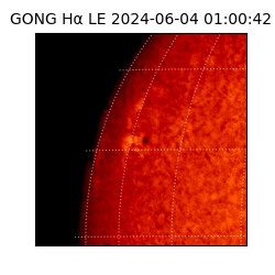 gong - 2024-06-04T01:00:42