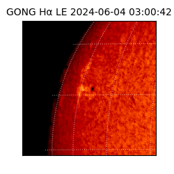 gong - 2024-06-04T03:00:42