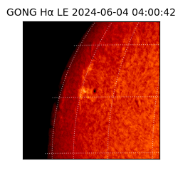 gong - 2024-06-04T04:00:42