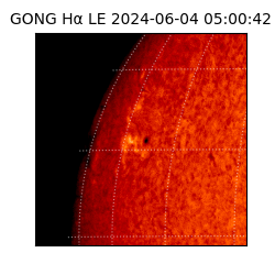 gong - 2024-06-04T05:00:42