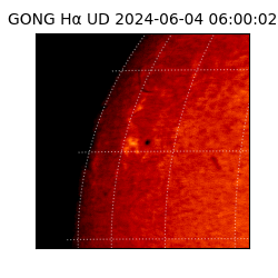 gong - 2024-06-04T06:00:02