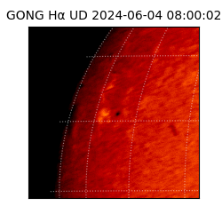 gong - 2024-06-04T08:00:02