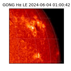 gong - 2024-06-04T01:00:42