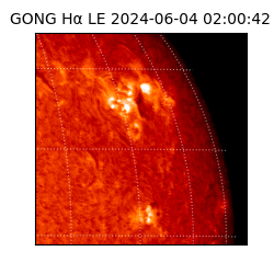 gong - 2024-06-04T02:00:42