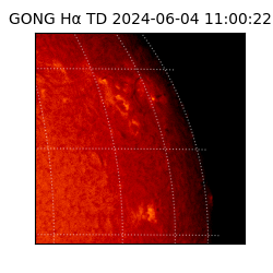 gong - 2024-06-04T11:00:22