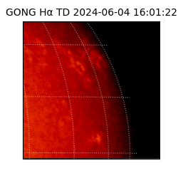 gong - 2024-06-04T16:01:22