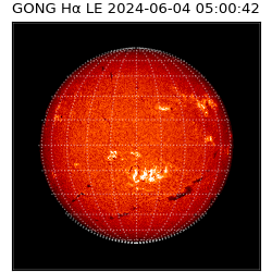 gong - 2024-06-04T05:00:42