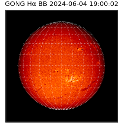 gong - 2024-06-04T19:00:02