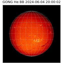 gong - 2024-06-04T20:00:02