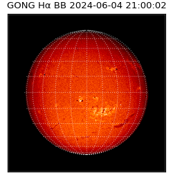 gong - 2024-06-04T21:00:02