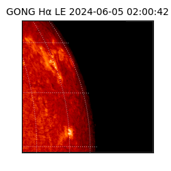 gong - 2024-06-05T02:00:42
