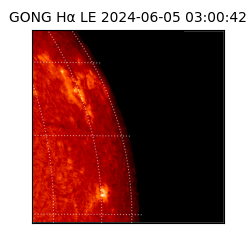 gong - 2024-06-05T03:00:42