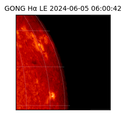 gong - 2024-06-05T06:00:42