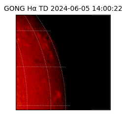 gong - 2024-06-05T14:00:22