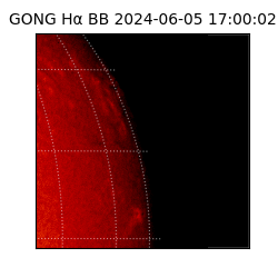 gong - 2024-06-05T17:00:02