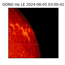 gong - 2024-06-05T03:00:42