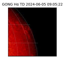 gong - 2024-06-05T09:05:22