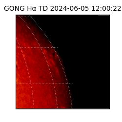 gong - 2024-06-05T12:00:22