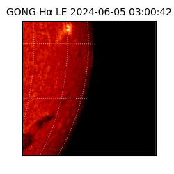 gong - 2024-06-05T03:00:42