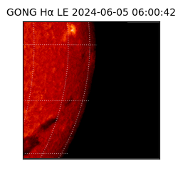 gong - 2024-06-05T06:00:42