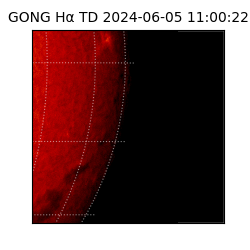 gong - 2024-06-05T11:00:22