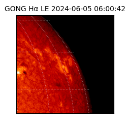 gong - 2024-06-05T06:00:42