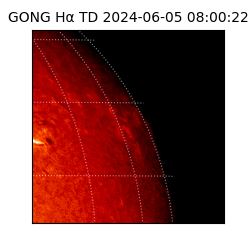 gong - 2024-06-05T08:00:22