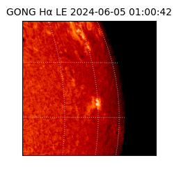 gong - 2024-06-05T01:00:42