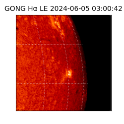 gong - 2024-06-05T03:00:42