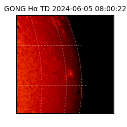 gong - 2024-06-05T08:00:22