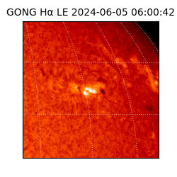 gong - 2024-06-05T06:00:42