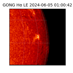 gong - 2024-06-05T01:00:42