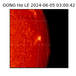 gong - 2024-06-05T03:00:42