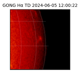 gong - 2024-06-05T12:00:22