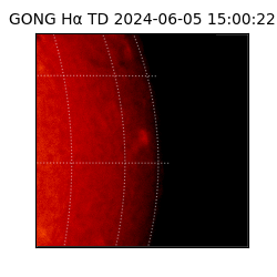 gong - 2024-06-05T15:00:22