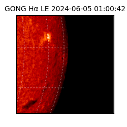 gong - 2024-06-05T01:00:42