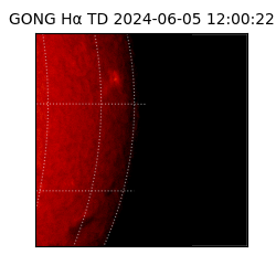 gong - 2024-06-05T12:00:22