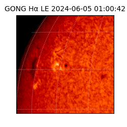 gong - 2024-06-05T01:00:42