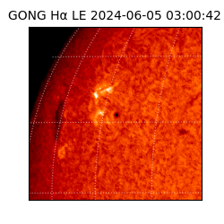 gong - 2024-06-05T03:00:42