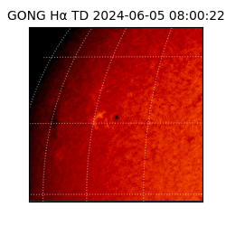 gong - 2024-06-05T08:00:22