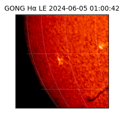 gong - 2024-06-05T01:00:42