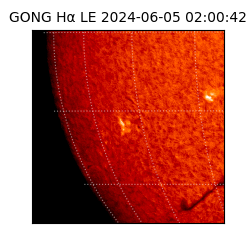 gong - 2024-06-05T02:00:42