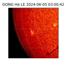 gong - 2024-06-05T03:00:42