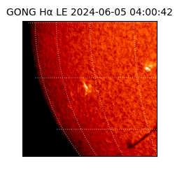 gong - 2024-06-05T04:00:42